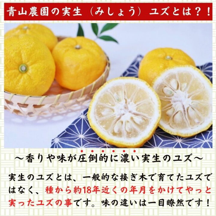 楽天市場 農薬を使用しない 実生 ゆず 有機栽培 無農薬 柚子 1kg 高知県産 お菓子作り お鍋 焼き魚 傷有 送料無料 土佐カツオとうなぎ通販 池澤鮮魚