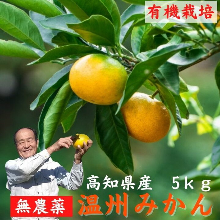 楽天市場 無農薬 有機栽培 温州みかん 5kg 高知県産 濃厚 送料無料 土佐カツオとうなぎ通販 池澤鮮魚