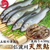 鮎 仁淀川 極上 天然鮎 友釣り鮎 仁淀ブルーで育った天然鮎 高知県産 誕生日 プレゼント ギフト お祝い …