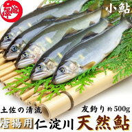 ＼数量限定／ 小鮎 仁淀川 極上 天然鮎 （500g 1kg） 唐揚げ・天ぷら用 お徳用 友釣り鮎 高知県産 誕生日…