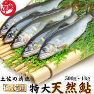 鮎 特大鮎 仁淀川 極上 天然鮎 （500g 1kg）友釣り鮎 仁淀ブルーで育った天然鮎 高知県産 誕生日 プレゼ…
