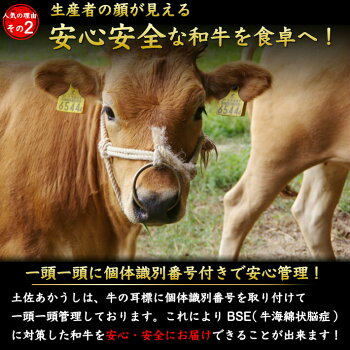個体識別番号付き
