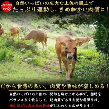 良質な霜降り
