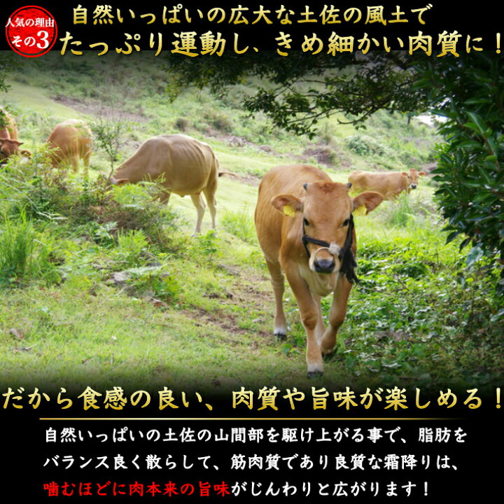 お中元 土佐あかうし 極上 ローストビーフ 無添加 400g (2個入) 土佐褐毛牛 和牛 赤牛 贈答用 ギフト 御中元 誕生日 プレゼント お取り寄せ お取り寄せグルメ 送料無料 あす楽対応 土佐カツオとうなぎ通販 池澤鮮魚 土佐あかうし 土佐和牛 ロース焼肉用 500g wagyu 土佐赤牛 和牛 牛肉 焼肉 ステーキ しゃぶしゃぶ 高級 ギフト プレゼント お取り寄せ 産地直送 お中元 お祝い(MM-100006)