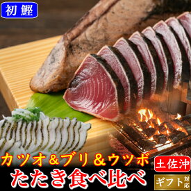 ぶり 高知