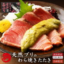 土佐沖 天然ブリ 藁焼きたたき 室戸春ブリ 高知県産 秘伝のタレ・葉ニンニクのぬた付 冷凍便 ギフト タタキ 土佐のぬた 海鮮 贈答 誕生日 プレゼント お取り寄せ お取り寄せグルメ 送料無料 最強翌日配送