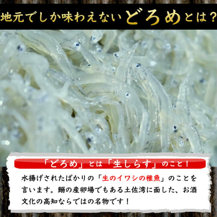 楽天市場 土佐のどろめ お刺身生しらす 100g 5パック タレ ぬた付き 高知土佐湾獲れ 誕生日 プレゼント 送料無料 冷凍便 父の日 ギフト お祝い 酒の肴 海鮮 海産物 土佐カツオとうなぎ通販 池澤鮮魚