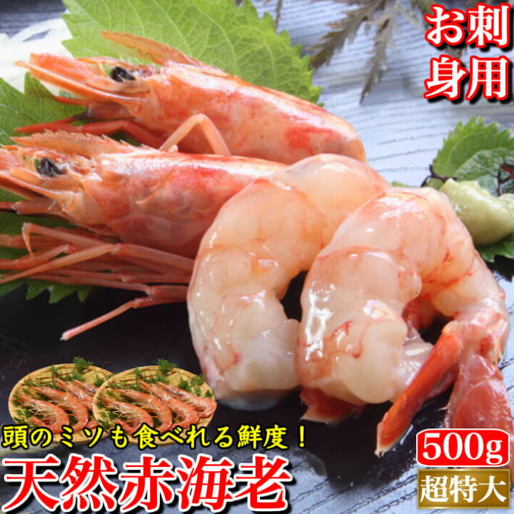 楽天市場 赤海老 天然 お刺身 赤エビ 同梱用 超特大500g 約7 9尾 L1サイズ 生食用 おせち 年越しそば 生冷凍 海鮮 グルメ お取り寄せ 土佐カツオとうなぎ通販 池澤鮮魚