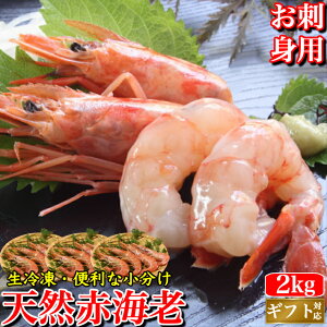 ԊCV VR hg ԃGr  (1kg 2kg) L1TCY Hp  Gr Ⓚ hg CN O BBQ  Mtg a v[g p  񂹃O 