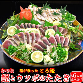 楽天市場 魚介類 水産加工品 うなぎ 魚介類 一本釣りかつお 日戻り鰹の海鮮バラエティセット 鰹とウツボのたたきセット 土佐カツオとうなぎ通販 池澤鮮魚