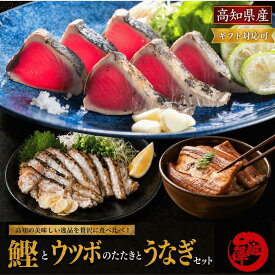 鰹のたたき セット（カツオのたたき 国産うなぎ うつぼのたたき）高知県産 藁焼き 日戻り 一本釣り 久礼港 宇佐漁港 冷凍 海鮮 グルメ お取り寄せ ギフト 父の日 お中元 誕生日 土用の丑 送料無料
