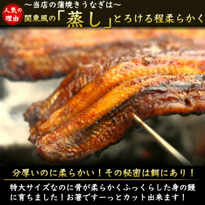 楽天市場 22年初鰹 お中元 土佐沖 日戻り 藁焼き鰹たたきと国産太化うなぎセット 蒲焼き 白焼き 選べるうなぎ 土用の丑 誕生日 御中元 ギフト 贈答用 送料無料 土佐カツオとうなぎ通販 池澤鮮魚