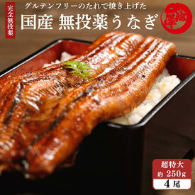 お歳暮 国産 無投薬 うなぎ 蒲焼き 超特大 約250g×4本 グルテンフリーのたれ 土用の丑 誕生日 プレゼント ギフト 御歳暮 贈答用 お取り寄せ お取り寄せグルメ 送料無料