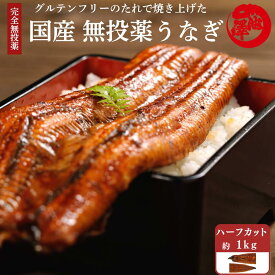 国産 無投薬 うなぎ 蒲焼き 超特大 ハーフカットたっぷり1kg グルテンフリーのたれ 土用の丑 誕生日 プレゼント ギフト 贈答用 お取り寄せ お取り寄せグルメ 送料無料