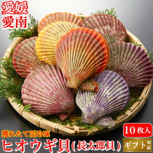 ヒオウギ貝の人気商品 通販 価格比較 価格 Com