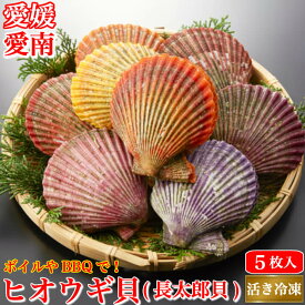 楽天市場 アコヤ貝 食品 の通販