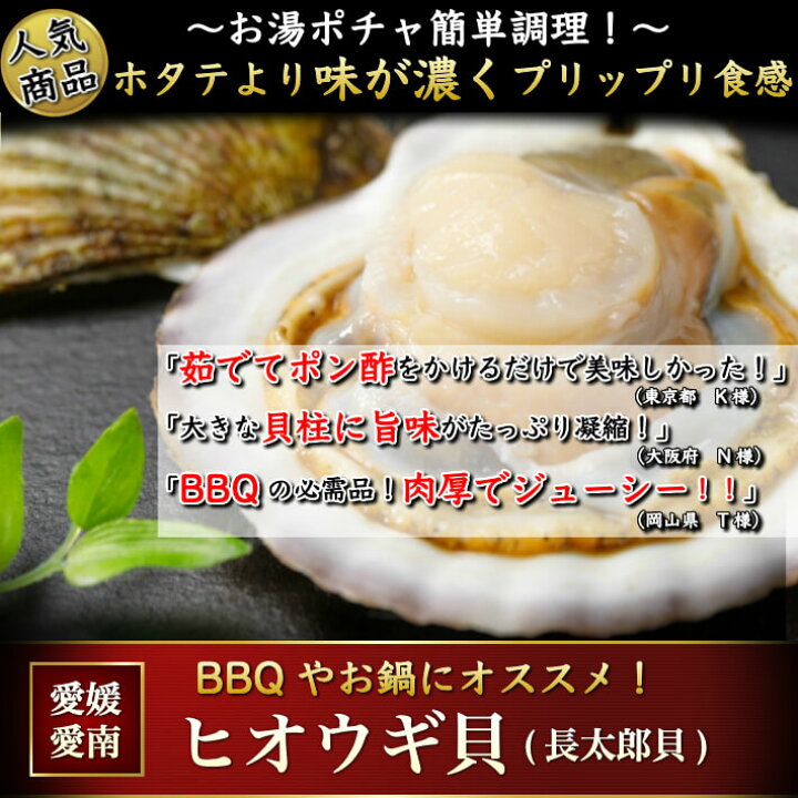 楽天市場 ホタテより濃厚 ヒオウギ貝 緋扇貝 枚 長太郎貝 愛媛県産 送料無料 冷凍便 ギフト グルメ お祝い q 海鮮 海産物 土佐カツオとうなぎ通販 池澤鮮魚