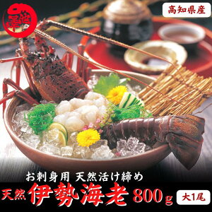 mY VR ɐCV 500giIׂ1`2j hg Ⓚ CZGr I 󂠂 H CN BBQ Ε邨 Mtg O a v[g CN CY  񂹃O