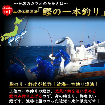 土佐の伝統漁法かつおの一本釣り