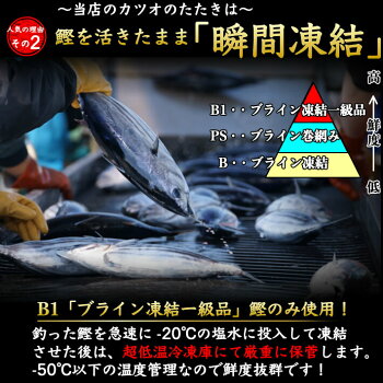 釣りたてを船上凍結で鮮度抜群