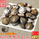 天然 ナガラミ (マイゴ) 500g 海水ボイル 砂抜き 幻の貝 ながらみ 千葉県 九十九里浜産 誕生日 プレゼント 冷凍 酒の肴 ギフト お祝い 海産物 お取り寄せ お取り寄せグルメ 送料無料 最強配送