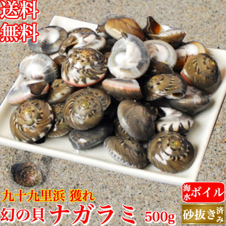 楽天市場 天然 ナガラミ マイゴ 500g 海水ボイル 砂抜き 幻の貝 ながらみ 千葉県 九十九里浜産 誕生日 プレゼント 冷凍 酒の肴 ギフト お祝い 海産物 送料無料 土佐カツオとうなぎ通販 池澤鮮魚