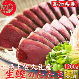 冷凍していない生鰹 土佐久礼 日戻り 藁焼き生鰹たたき 高知県産 一本釣り 約1200g（2～5節）10人前 初鰹 戻り鰹 産地直送 お歳暮 ギフト 鰹のたたき 海鮮 贈答 誕生日 プレゼント お取り寄せ お取り寄せグルメ 送料無料