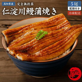 御中元 ギフト 国産うなぎ蒲焼き 仁淀川の伏流水で育てた鰻 無投薬 高知県産 5本入り お中元 土用の丑の日 誕生日 プレゼント お祝い 贈答用 お取り寄せグルメ 送料無料