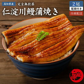 御中元 ギフト 国産うなぎ蒲焼き 仁淀川の伏流水で育てた鰻 無投薬 高知県産 2本入り お中元 土用の丑の日 誕生日 プレゼント お祝い 贈答用 お取り寄せグルメ 送料無料