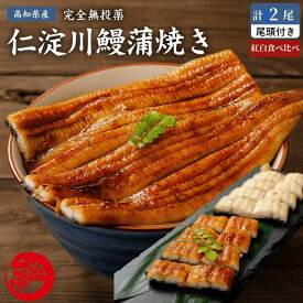 高知県産 うなぎ 紅白 蒲焼き 白焼き 各1尾セット 国産 完全無投薬 仁淀ブルーで育った鰻 秘伝のタレ 仁淀川 土用の丑 誕生日 プレゼント ギフト お祝い 贈答用 お取り寄せ お取り寄せグルメ 送料無料