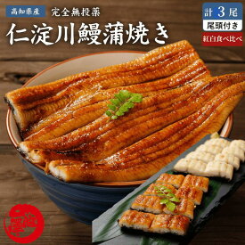 高知県産 うなぎ 紅白 蒲焼き 2尾 白焼き 1尾セット 国産 完全無投薬 仁淀ブルーで育った鰻 秘伝のタレ しびれる山椒 仁淀川 土用の丑 誕生日 プレゼント ギフト お祝い 贈答用 お取り寄せ お取り寄せグルメ 送料無料