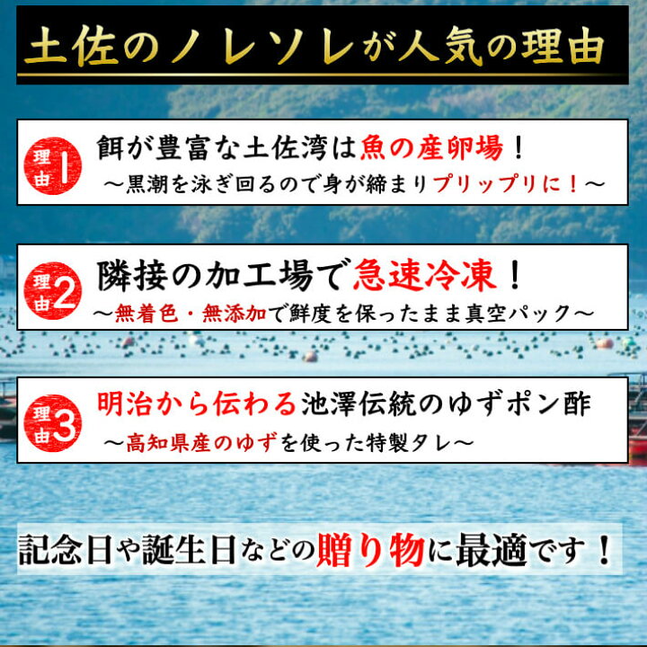 楽天市場 土佐珍味 のれそれ アナゴの稚魚 100g ノレソレ 特製秘伝タレ付き 高知県産 同梱用 冷凍便 ギフト 海鮮 珍味 海産物 土佐カツオとうなぎ通販 池澤鮮魚