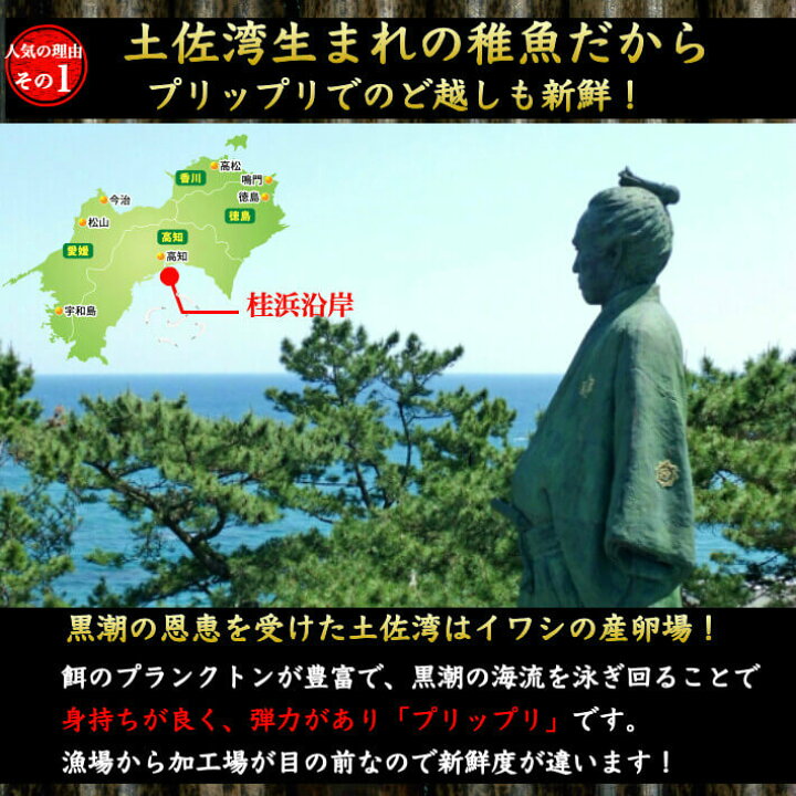 楽天市場 土佐珍味 のれそれ アナゴの稚魚 100g ノレソレ 特製秘伝タレ付き 高知県産 同梱用 冷凍便 ギフト 海鮮 珍味 海産物 土佐カツオとうなぎ通販 池澤鮮魚