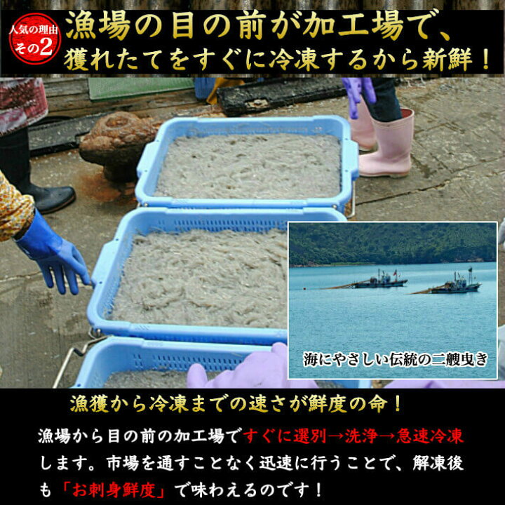 楽天市場 土佐珍味 のれそれ アナゴの稚魚 100g ノレソレ 特製秘伝タレ付き 高知県産 同梱用 冷凍便 ギフト 海鮮 珍味 海産物 土佐カツオとうなぎ通販 池澤鮮魚