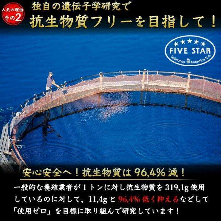 楽天市場 母の日 お刺身とろサーモン プレミアムグレード 特大半身フィーレ 10人前 900g 骨なし 皮付き トラウトサーモン 鮭 冷凍便 お取り寄せ 誕生日 父の日 ギフト 寿司 海鮮 贈答 送料無料 土佐カツオとうなぎ通販 池澤鮮魚