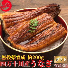楽天市場 四万十 川 天然 うなぎの通販