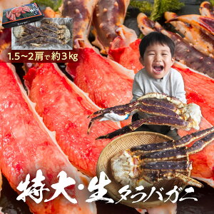  ^oI 3kg (10lOȏ) 11,5-2kg̃LOTCY Iz[cNCI {΂ 10Lȏ̋ɑ 1-2 Ε NNn CN ĂKj O Mtg a  