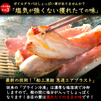船上凍結エアブラスト