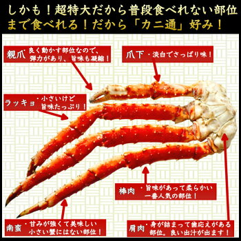タラバの部位