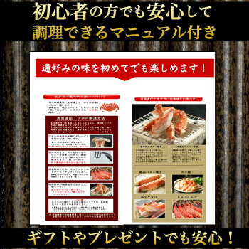 初心者でも楽しめる