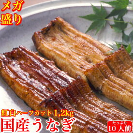 国産 特大うなぎ 太化 蒲焼き 白焼き 紅白食べ比べ メガ盛り ハーフカット1,2kg 土用の丑 誕生日 プレゼント ギフト 贈答用 10人前 お取り寄せ お取り寄せグルメ 送料無料 あす楽対応