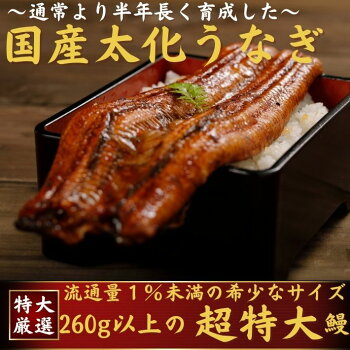 超特大の国産太化うなぎ