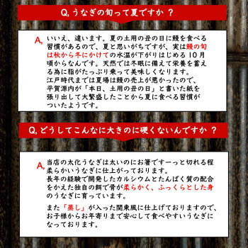 真空パックのレトルトうなぎ