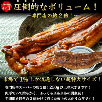 化学調味料無添加の特製たれ