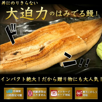 インスタ映えする丼からはみでるうなぎ