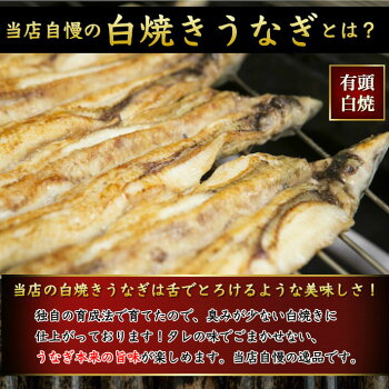 白焼きうなぎとは?