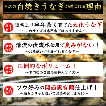 太化うなぎは食べ応え抜群