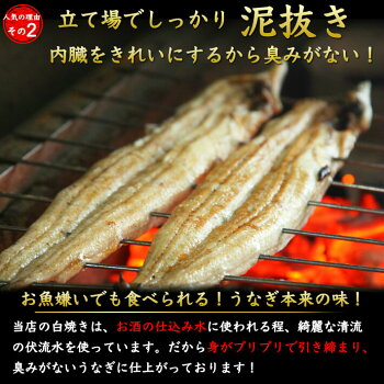 臭みがない関西風白焼き