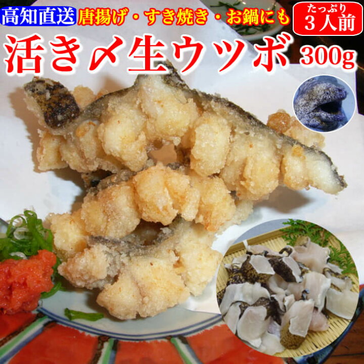 楽天市場 海鮮 珍味 活き〆 生ウツボカット うつぼの唐揚げ 天ぷら すき焼き 鍋用 300g 同梱用 秘伝のタレ付 土佐の伝統食 珍味 お取り寄せ グルメ 土佐カツオとうなぎ通販 池澤鮮魚