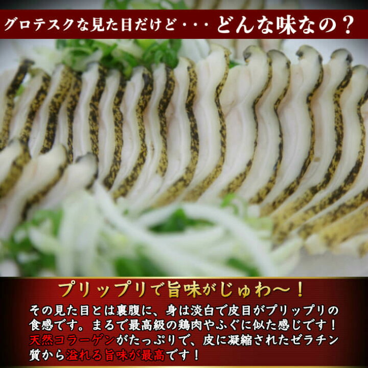 楽天市場 海鮮 珍味 ウツボのたたき うつぼ300g以上 ５人前 土佐 高知 伝統食 誕生日 ギフト おつまみ お取り寄せ グルメ 送料無料 土佐カツオとうなぎ通販 池澤鮮魚